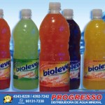 Bioleve_sabores_frutas_tropicais