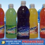 Bioleve_sabores_frutas_uva_maça